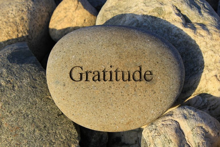 GRATITUDE…WAY TO GO!