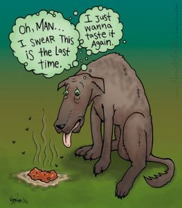 Read more about the article NO MORE FOLLY!