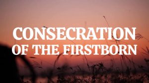 CONSECRATED FIRSTBORN