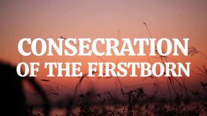 Read more about the article CONSECRATED FIRSTBORN