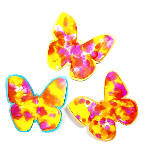 Read more about the article TEACH AND STUDY!