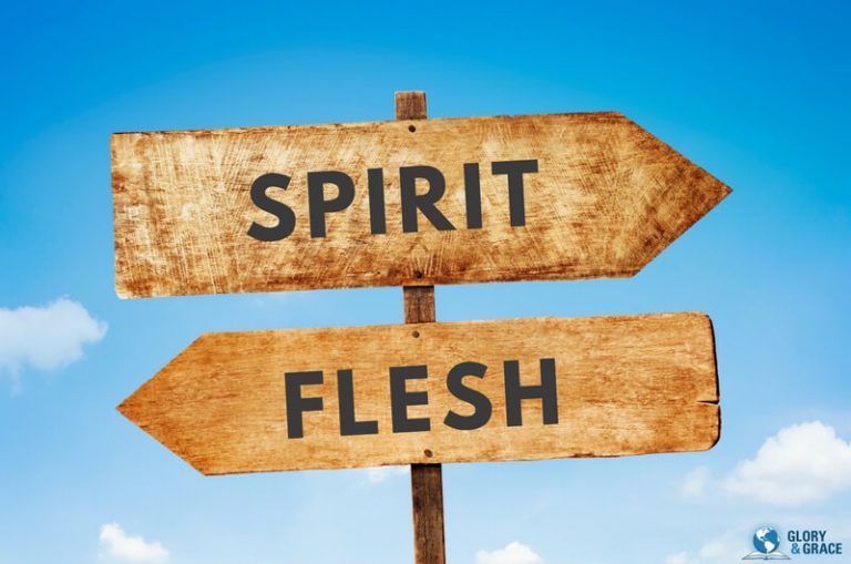 LED BY THE SPIRIT